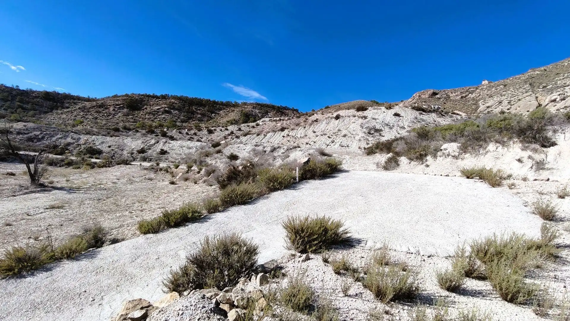 Rural land for sale in Fortuna, imagen 16