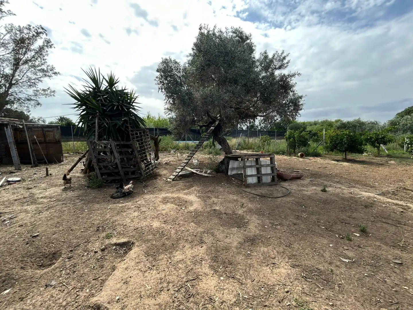 Finca rústica en venta en Utrera