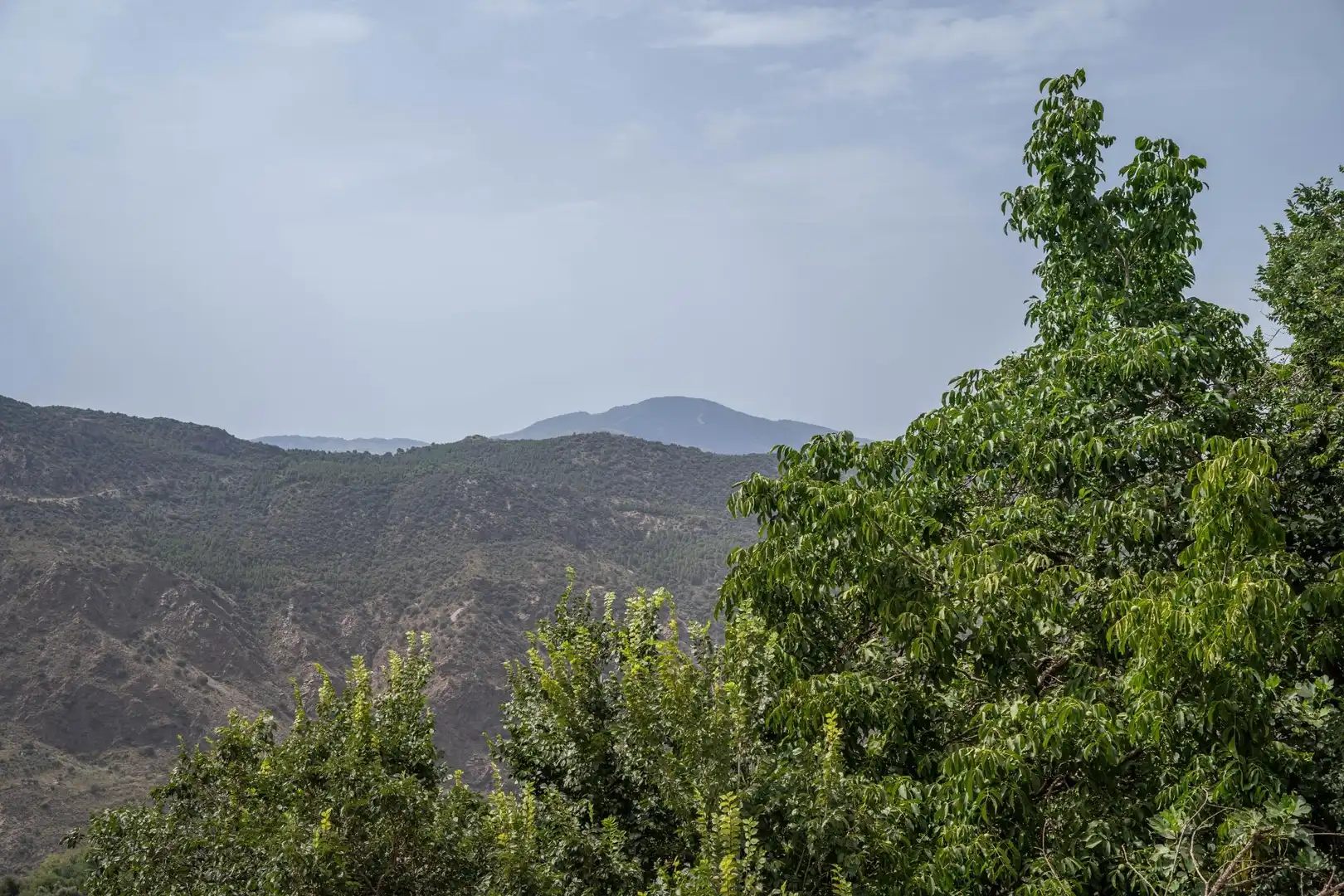 Casa o xalet en venda en La Taha amb Traster
