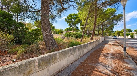 Foto 4 de Residencial en venda a Son Serra de Marina, Santa Margalida
