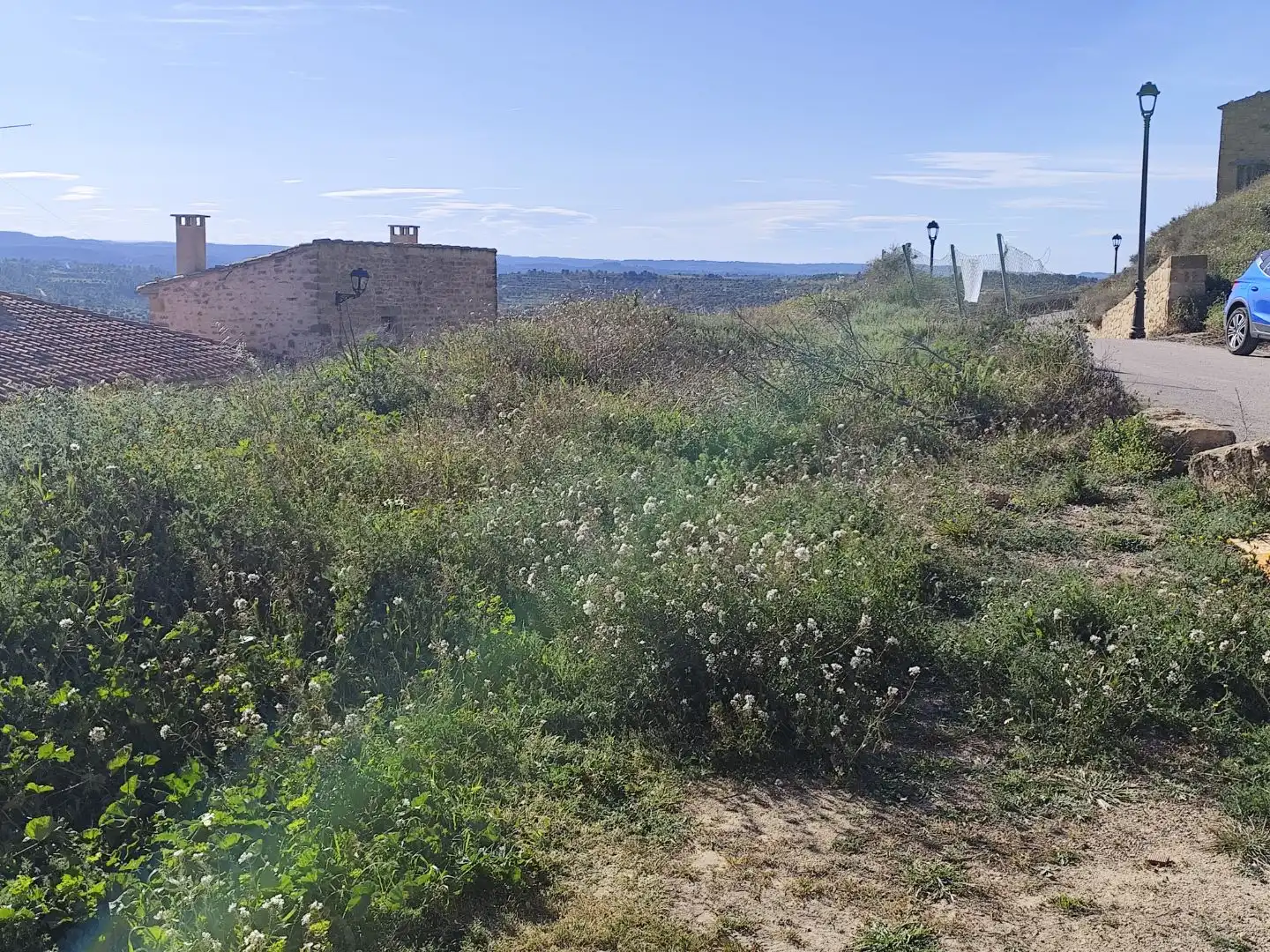Land for sale in Calaceite