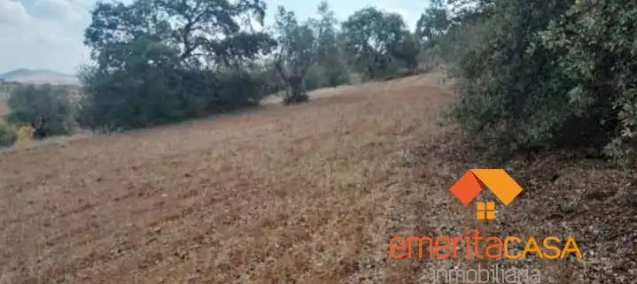 Terreni e lotti in vendita a Don Álvaro, imagen 7