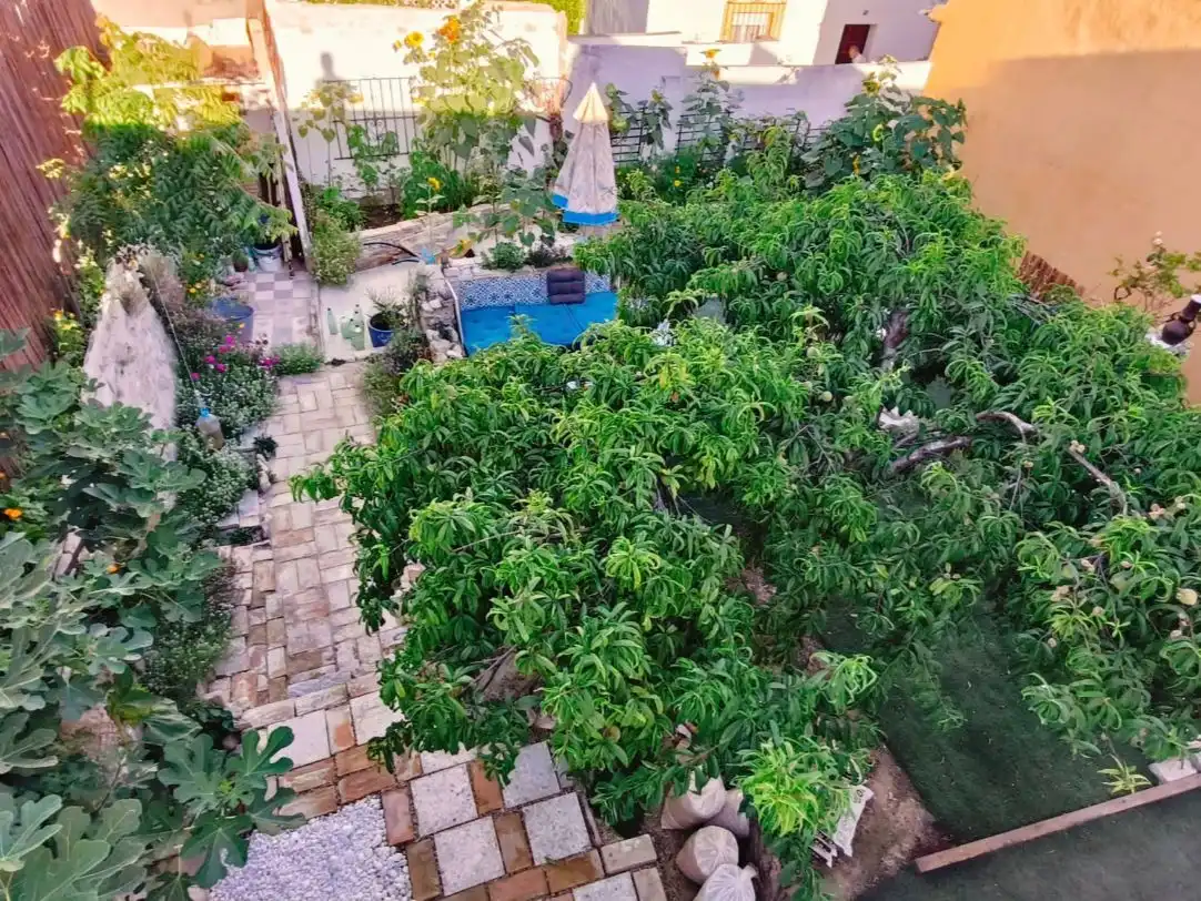 Jardí de Casa o xalet en venda en Jerez de la Frontera amb Aire condicionat, Calefacció i Jardí privat