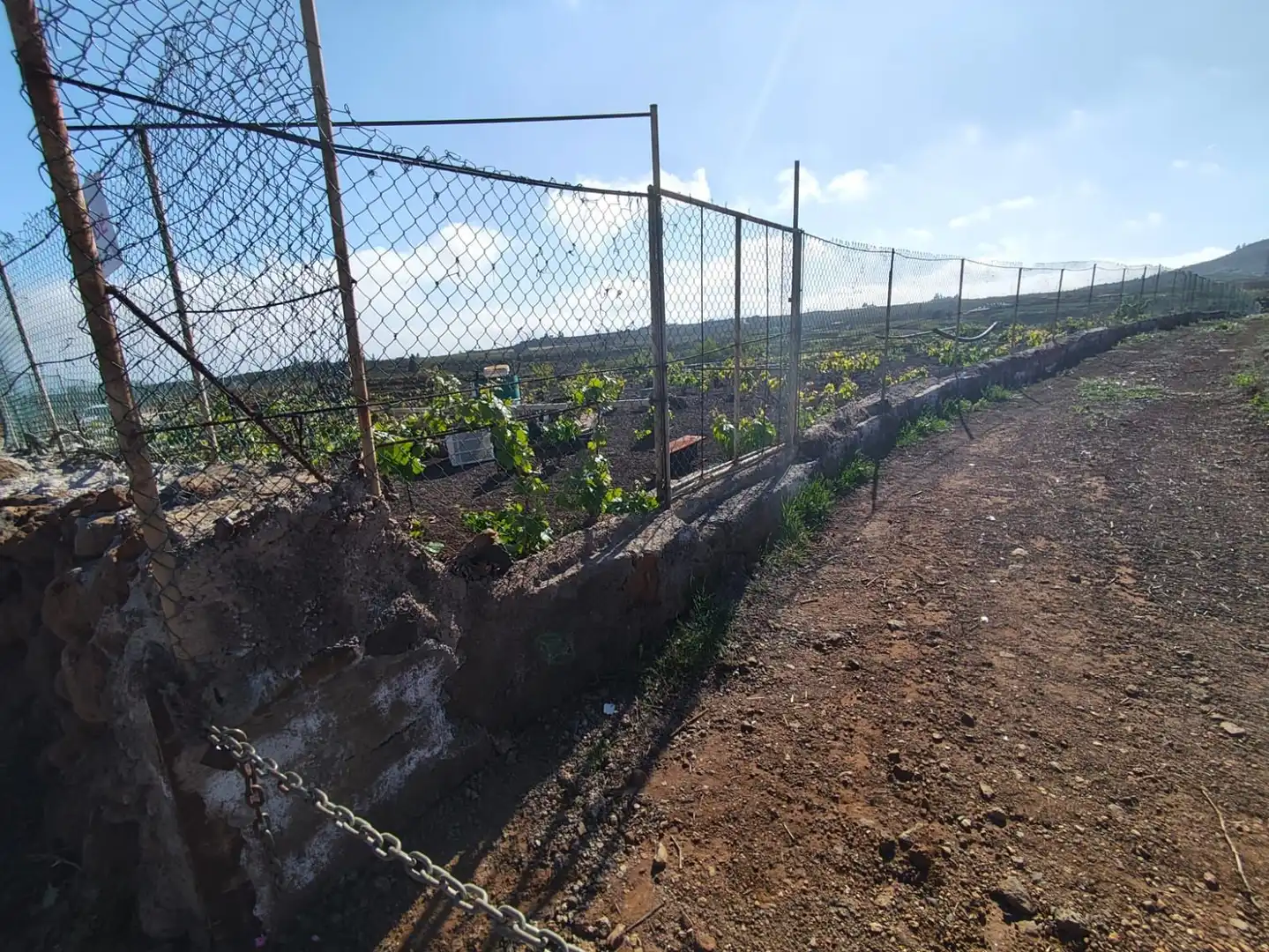 Terreno en venta en Vilaflor de Chasna