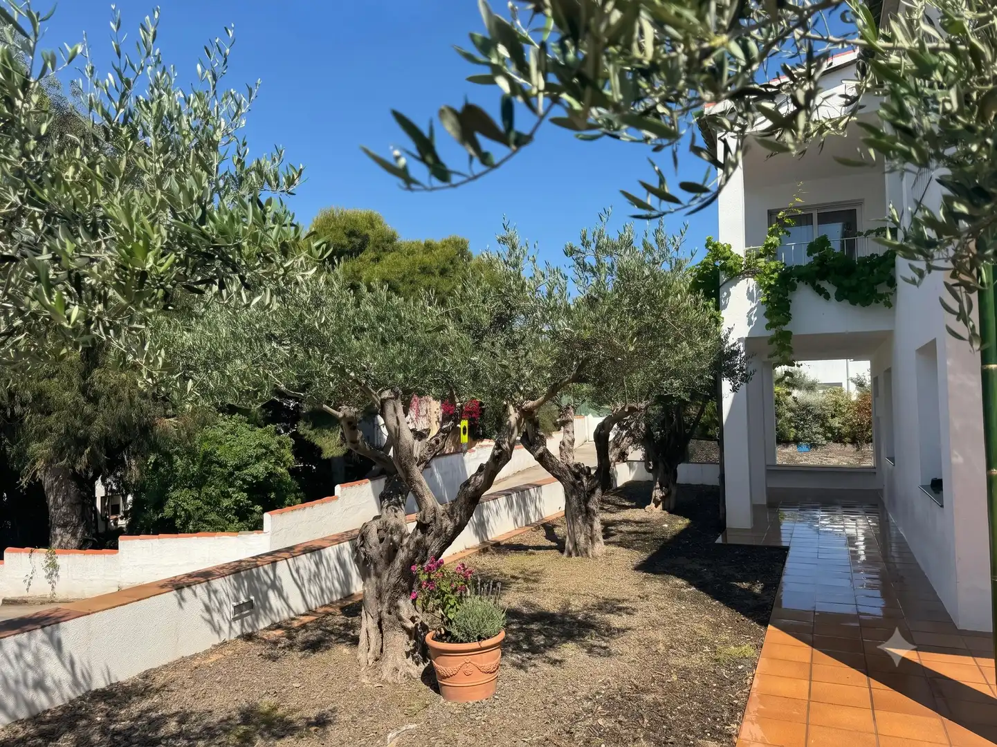 Jardín de Casa o chalet en venta en Cadaqués con Jardín privado, Terraza y Balcón