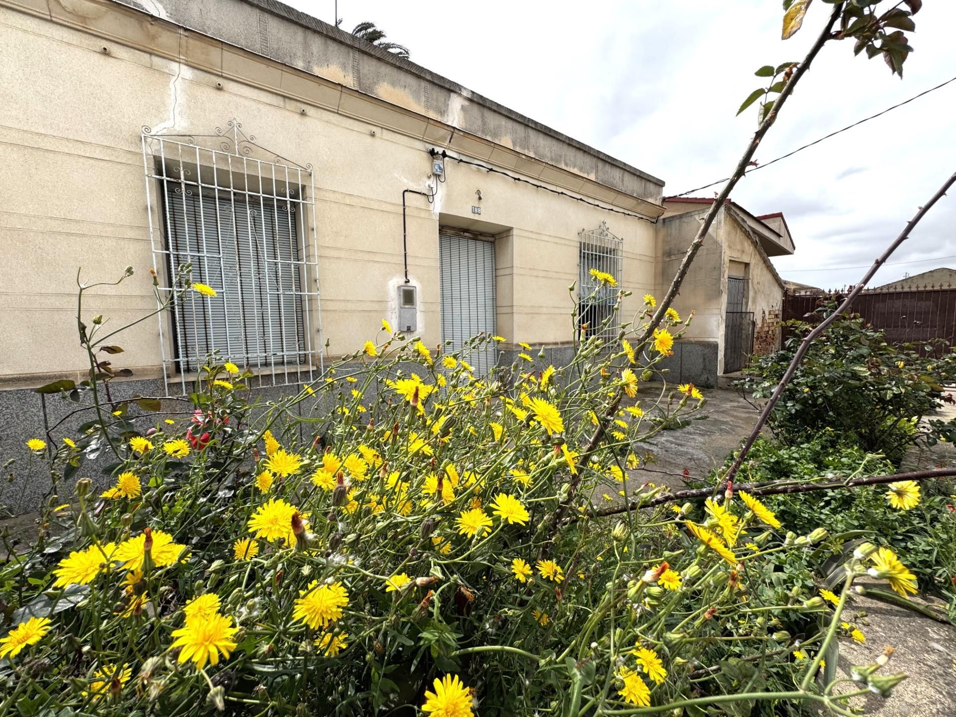 Exterior view of House or chalet for sale in  Murcia Capital