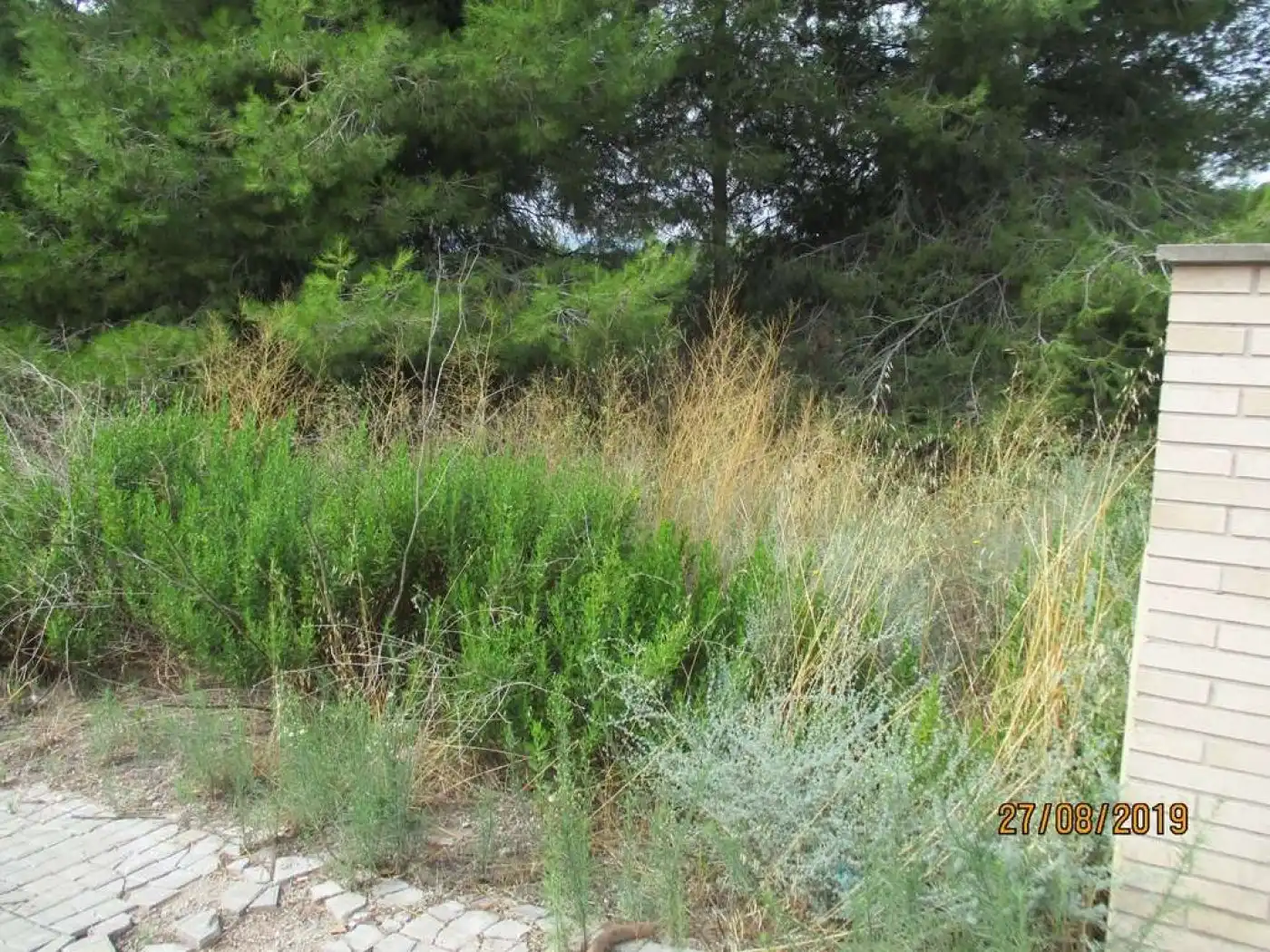 Lands and plots for sale in Jorba, imagen 2
