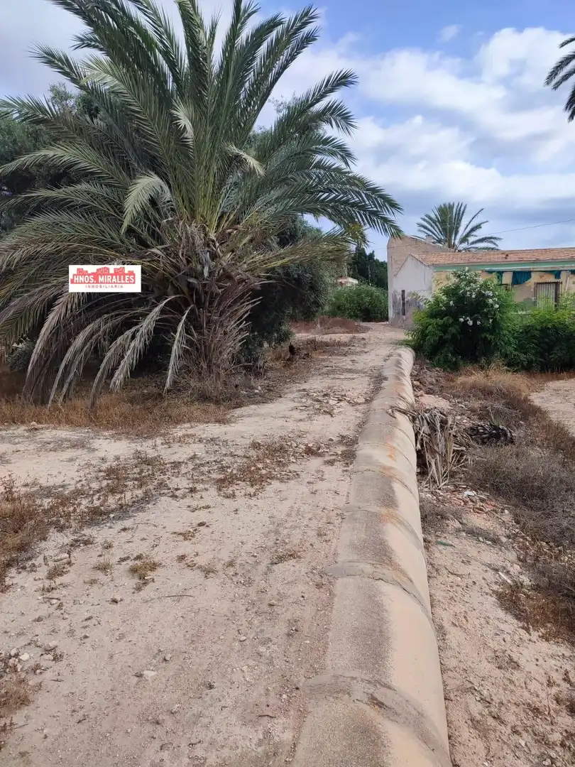 Country homes for sale in Elche / Elx