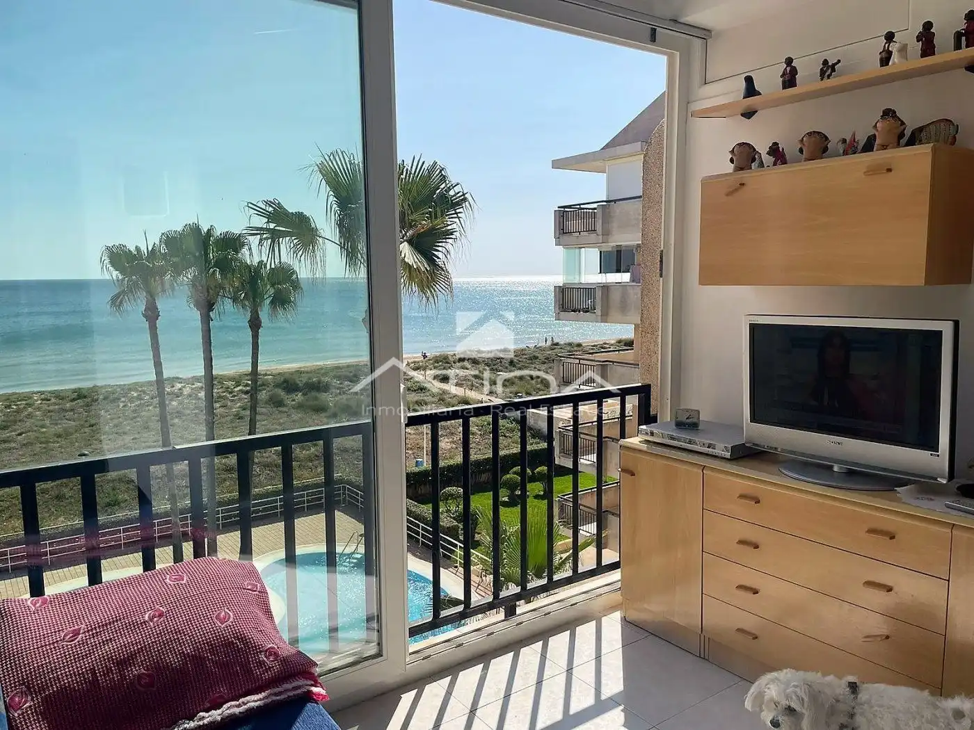 Apartamento con piscina en venta en Daimús, imagen 3