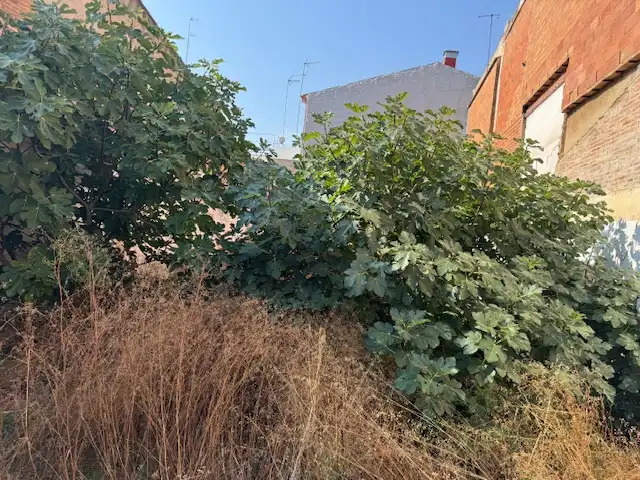 Terreno residencial en venta en Carrer de Marià Benlliure 25, imagen 17