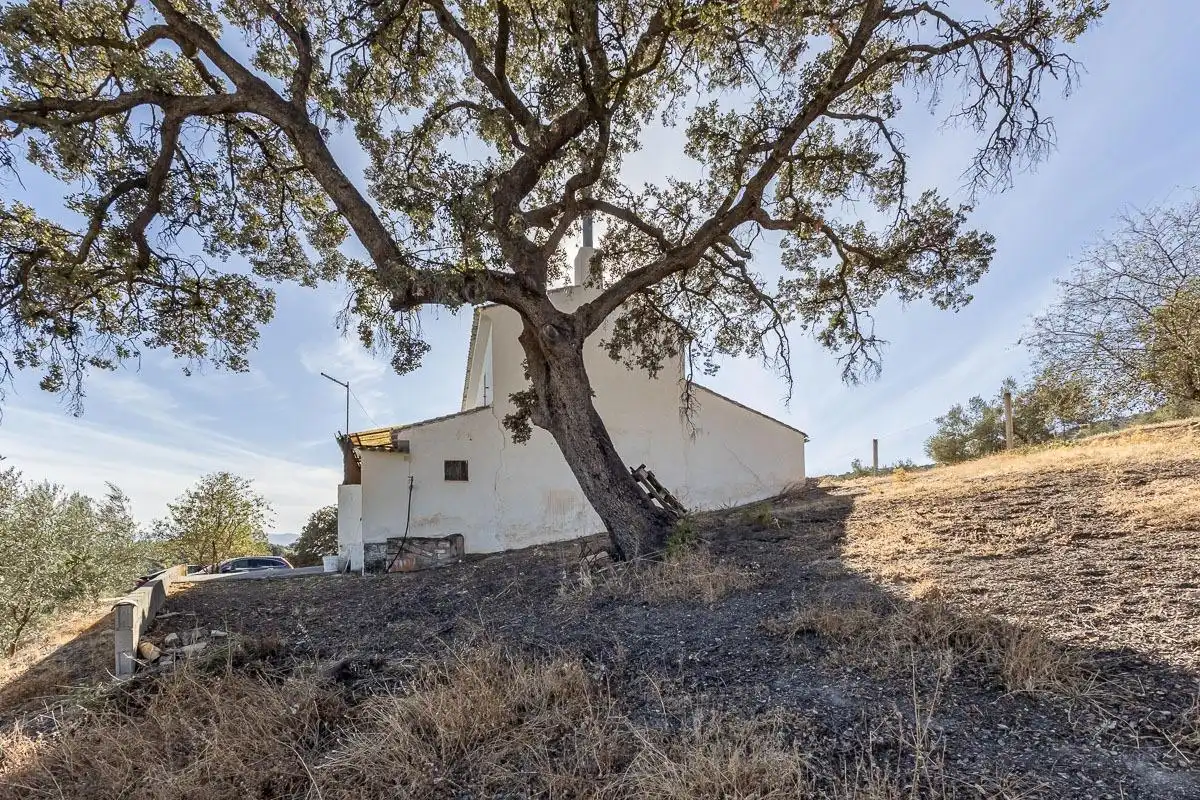 Exterior view of Country homes for sale in Montefrío