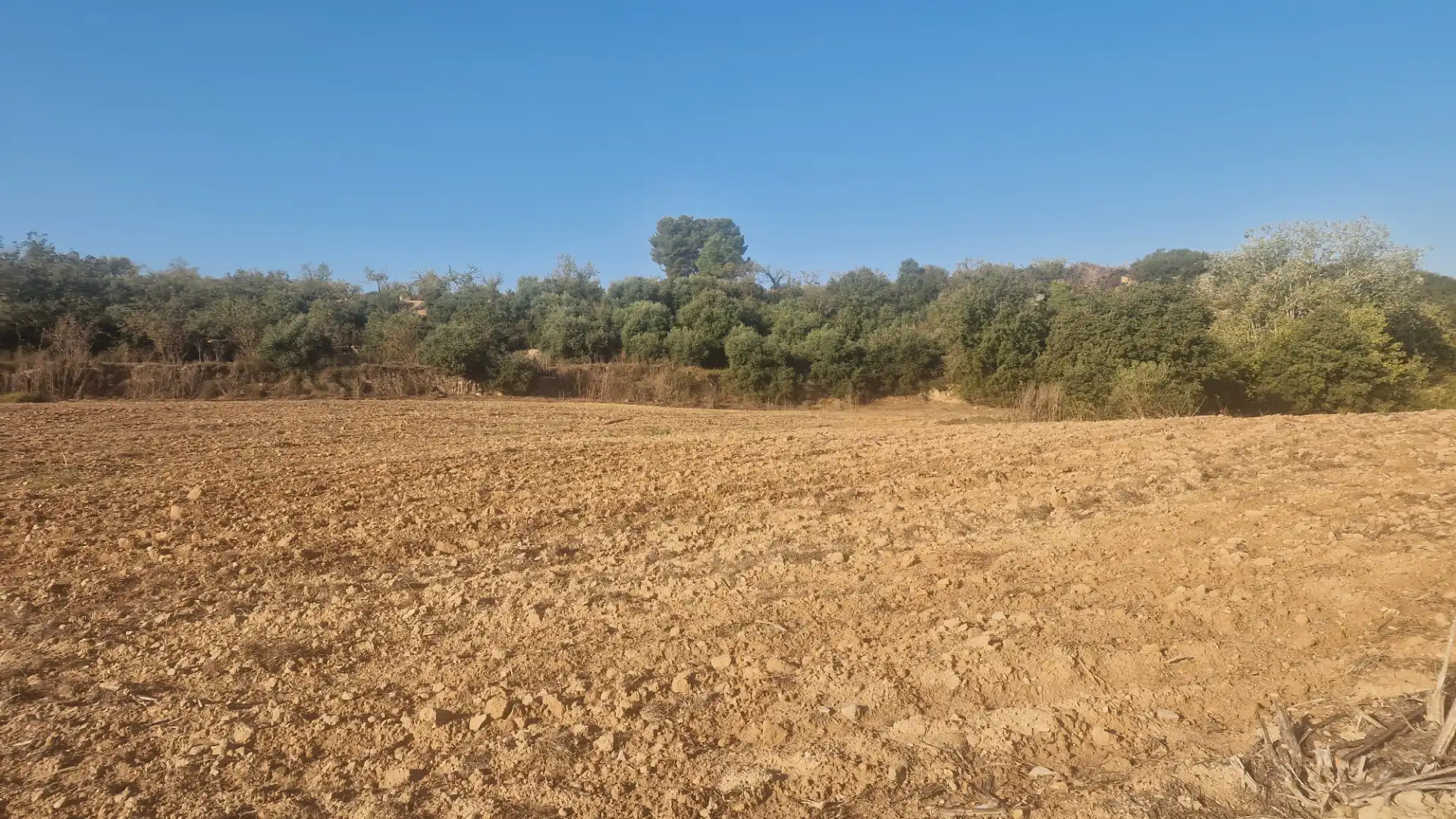 Rural land for sale in Arbeca, imagen 21