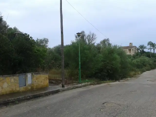 Terreny rústic en venda a C/ Son Gual, imagen 10