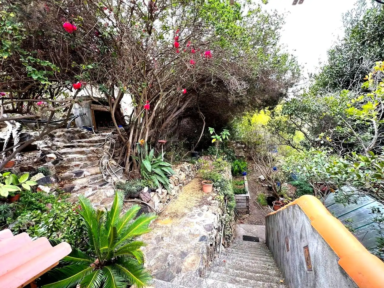 Jardín de Finca rústica en venta en Vallehermoso con Aire acondicionado, Calefacción y Jardín privado