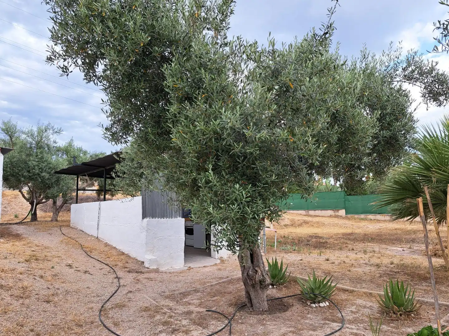 Jardín de Casa o chalet en venta en Molina de Segura con Aire acondicionado, Calefacción y Terraza