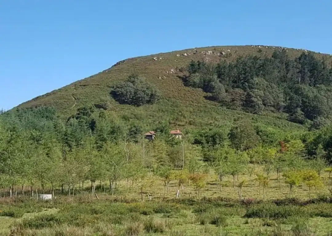 Casa rústica amb jardí en venda a Corvera de Toranzo, imagen 5