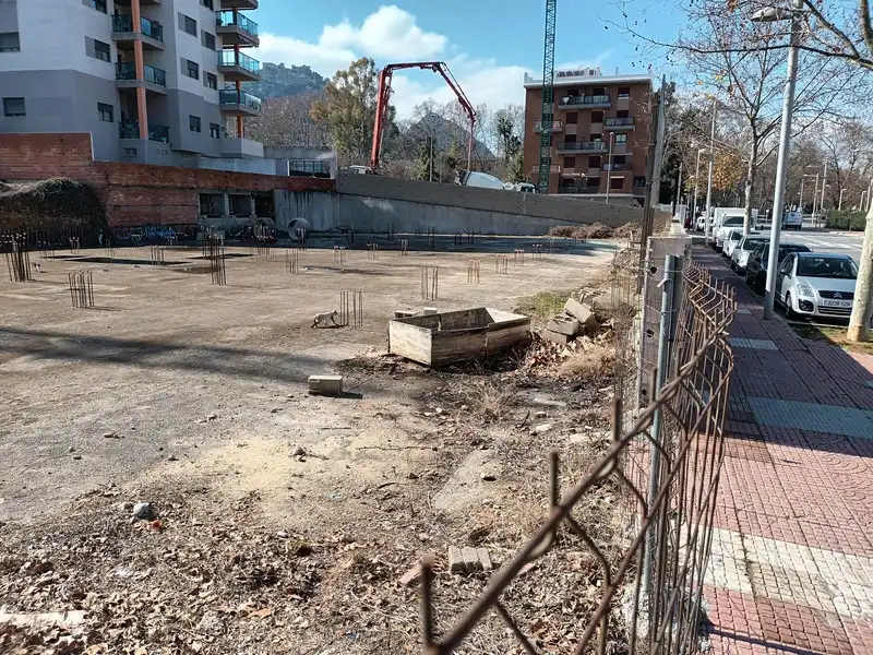 Altri in vendita a PINTOR JUAN FRANCES, imagen 10