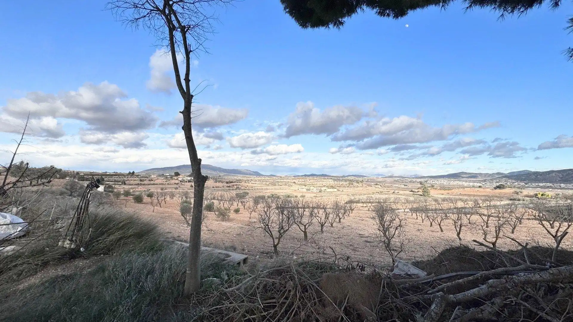 Casa adosada en venda en El Pinós / Pinoso amb Terrassa