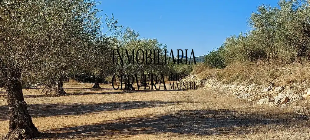 Vista exterior de Finca rústica en venda en Cervera del Maestre amb Terrassa