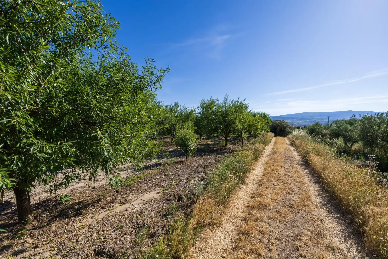Rural land for sale in Dúrcal, imagen 11