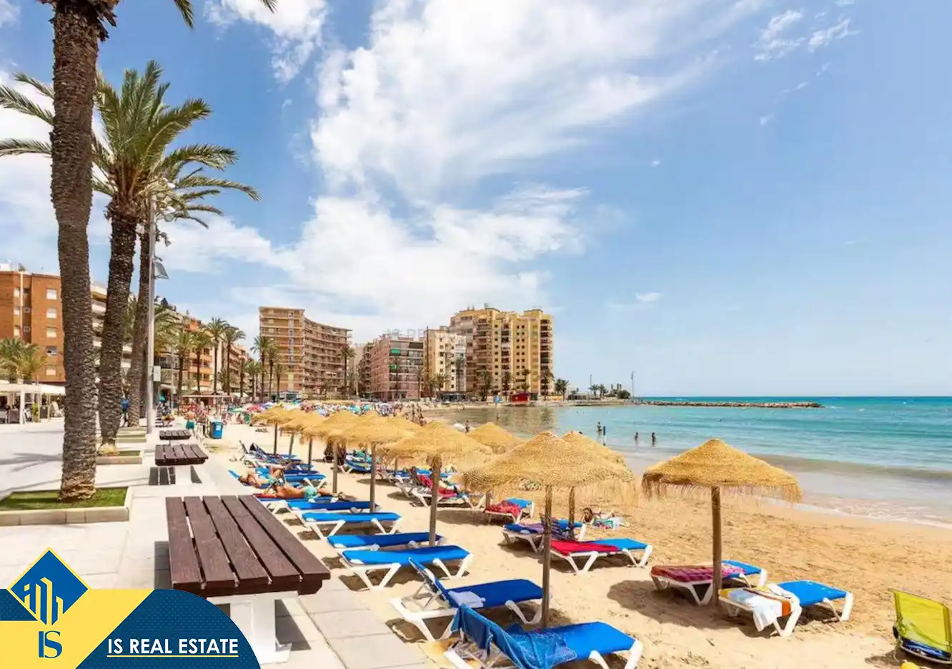 Appartement compact avec terrasse à louer à Nueva Torrevieja - Aguas Nuevas, imagen 30