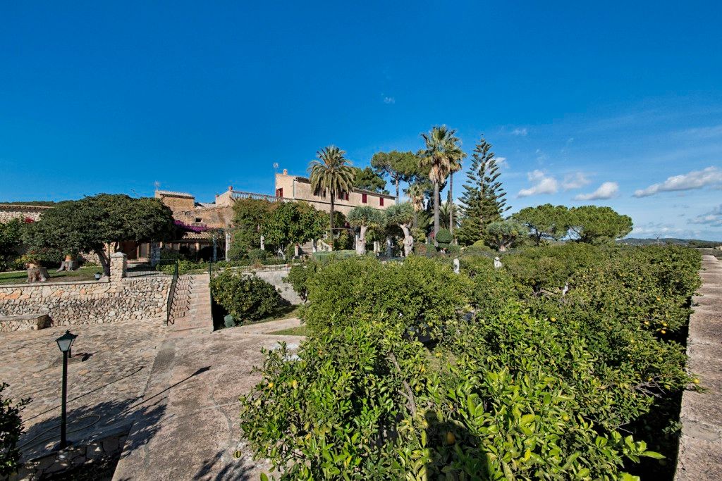 Exterior view of Country house for sale in Montuïri