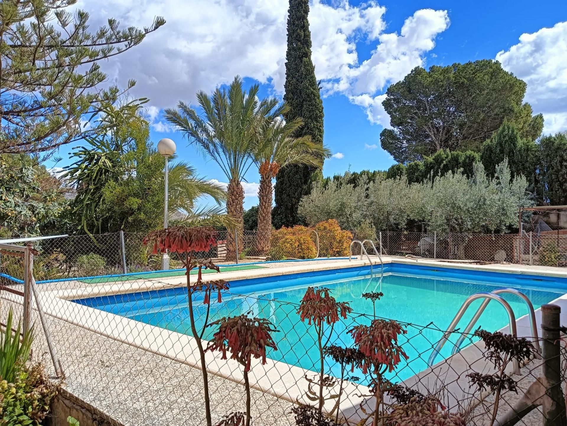 Swimming pool of House or chalet for sale in Aspe  with Private garden, Terrace and Storage room