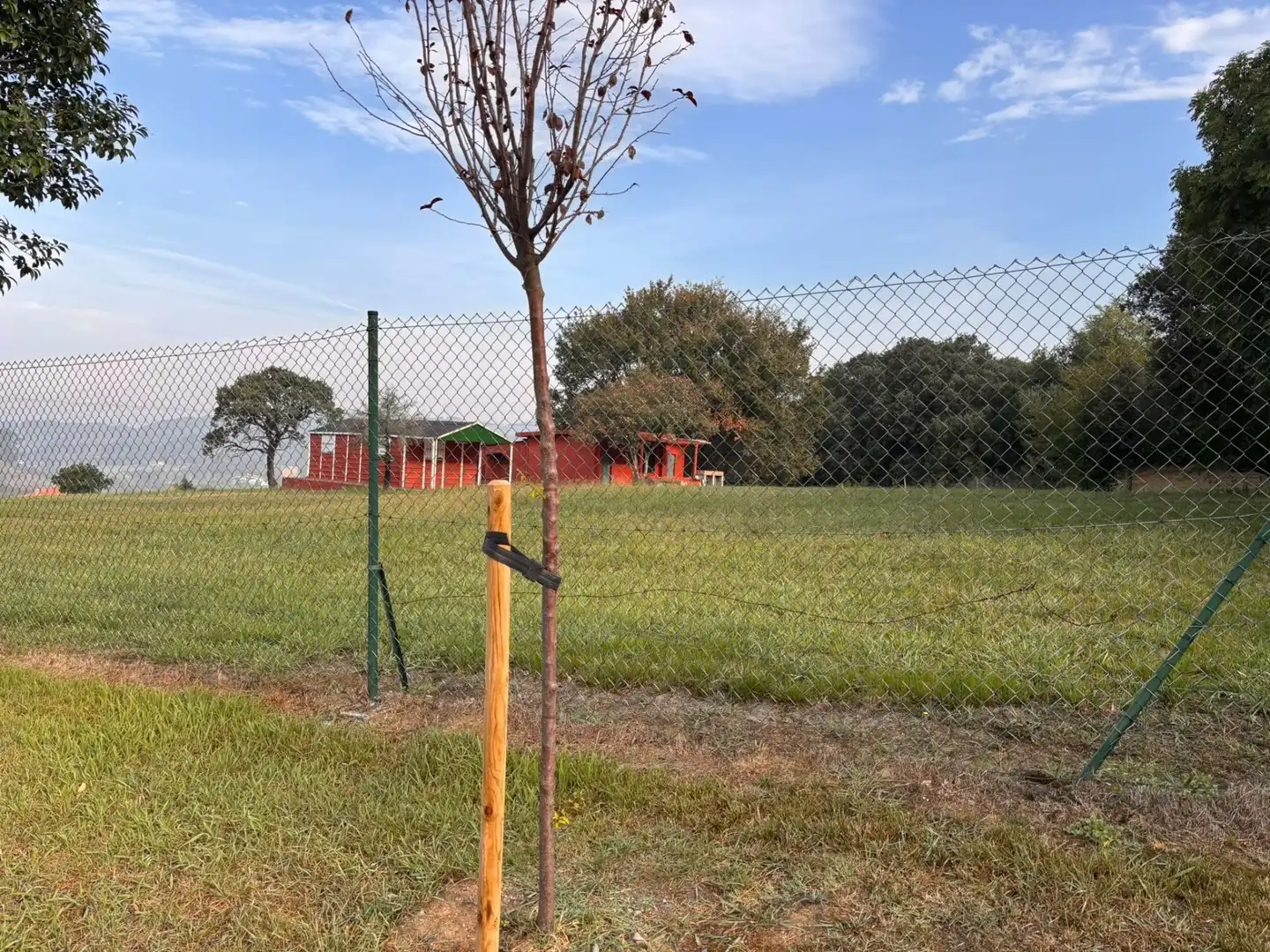 Rural land for sale in Erandio, imagen 5