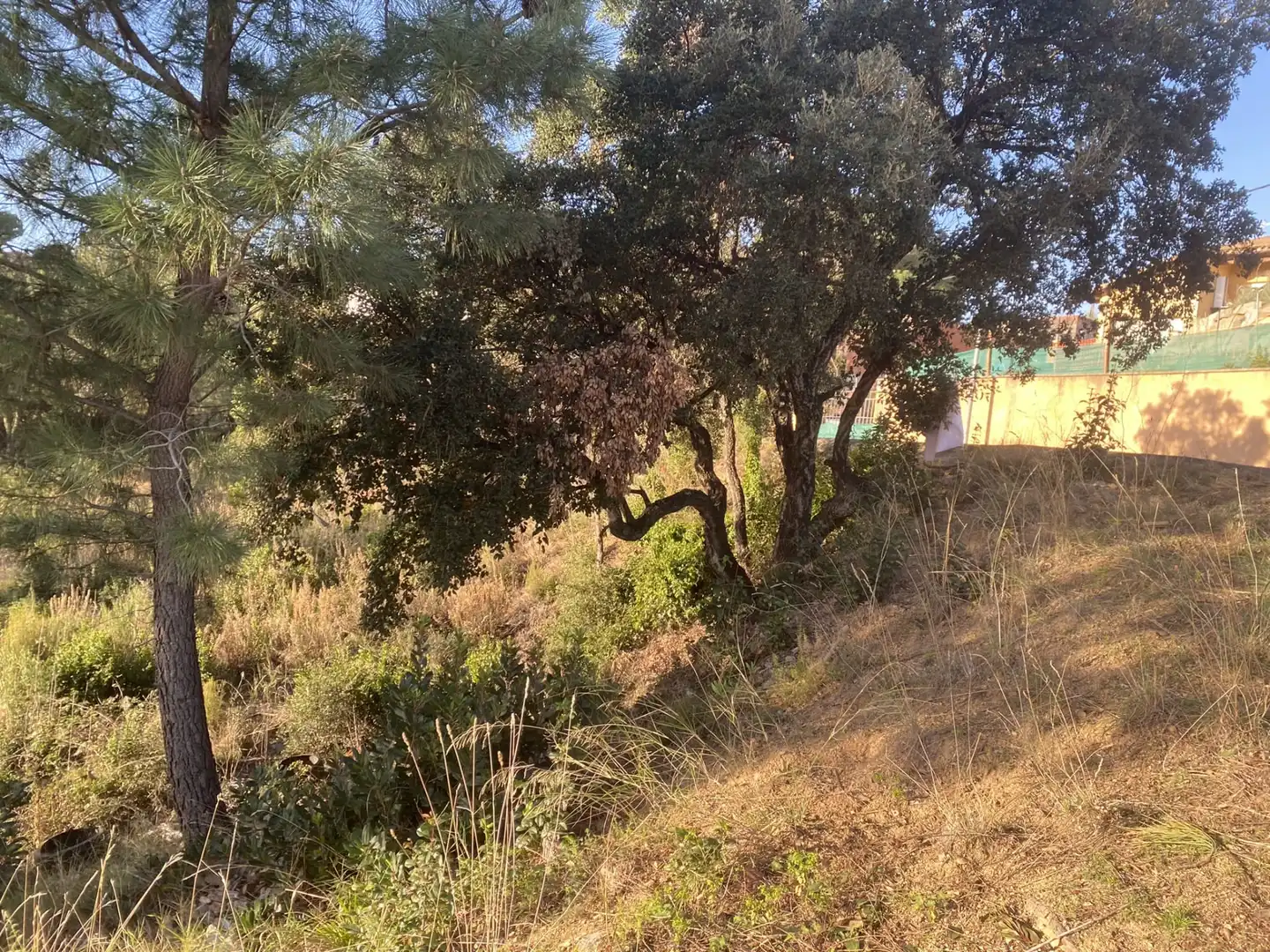Terreno residencial en venta en Carrer Perdiu 38, imagen 10