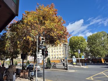 Apartament de lloguer a Calle SAN JOSE BAJA 16