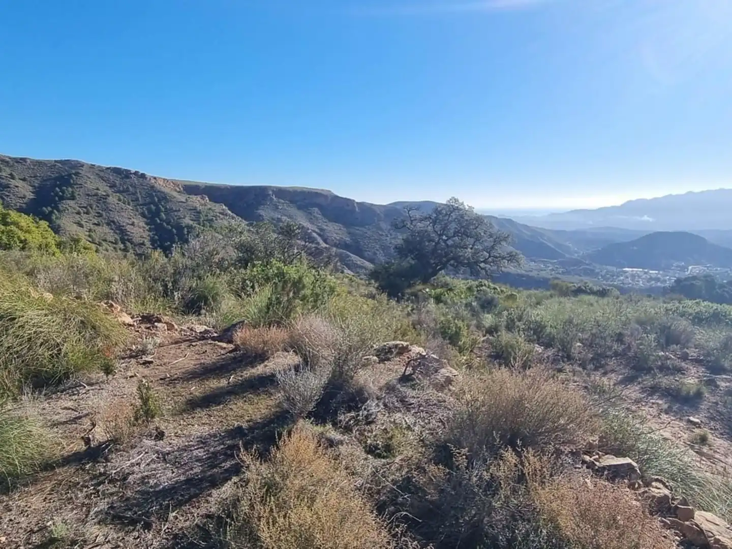Exterior view of Land for sale in Bédar