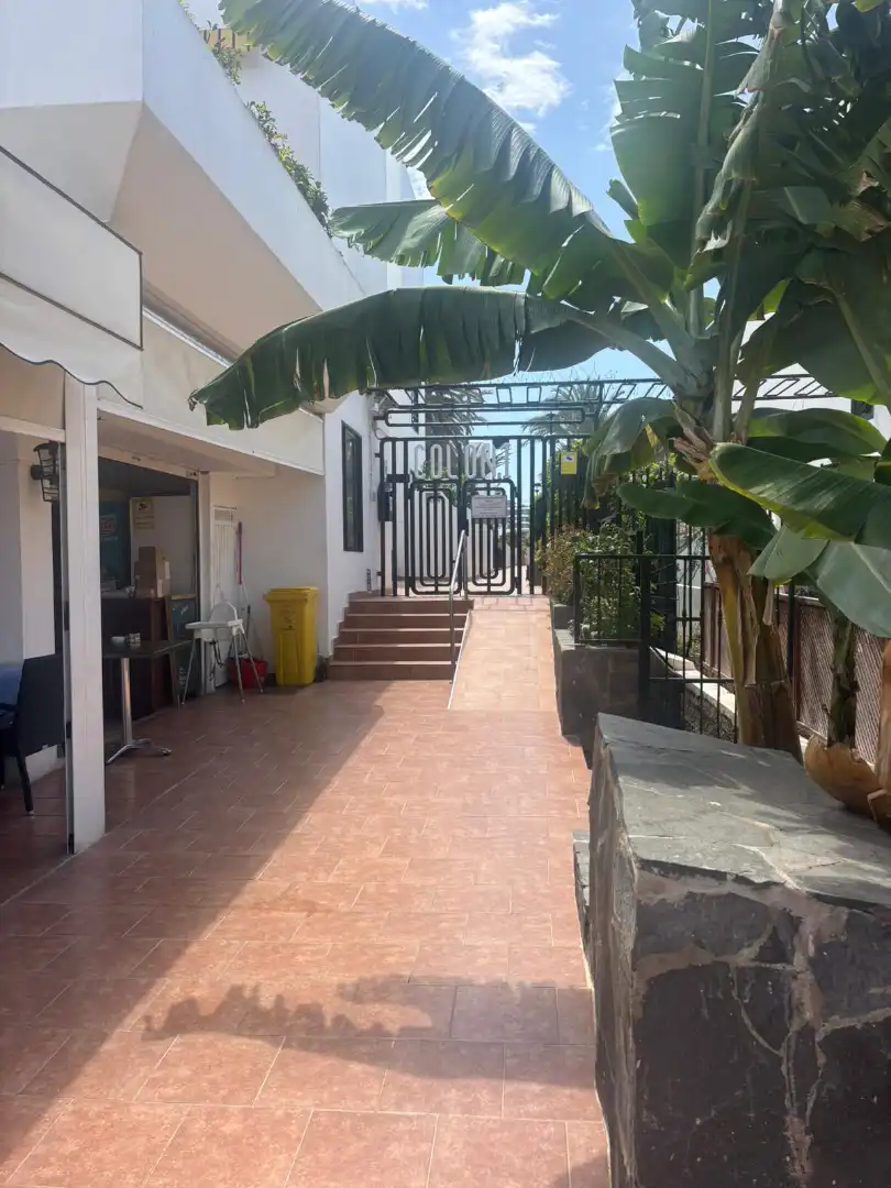 Apartamento con piscina en venta en Avenida Santiago Puig, imagen 16