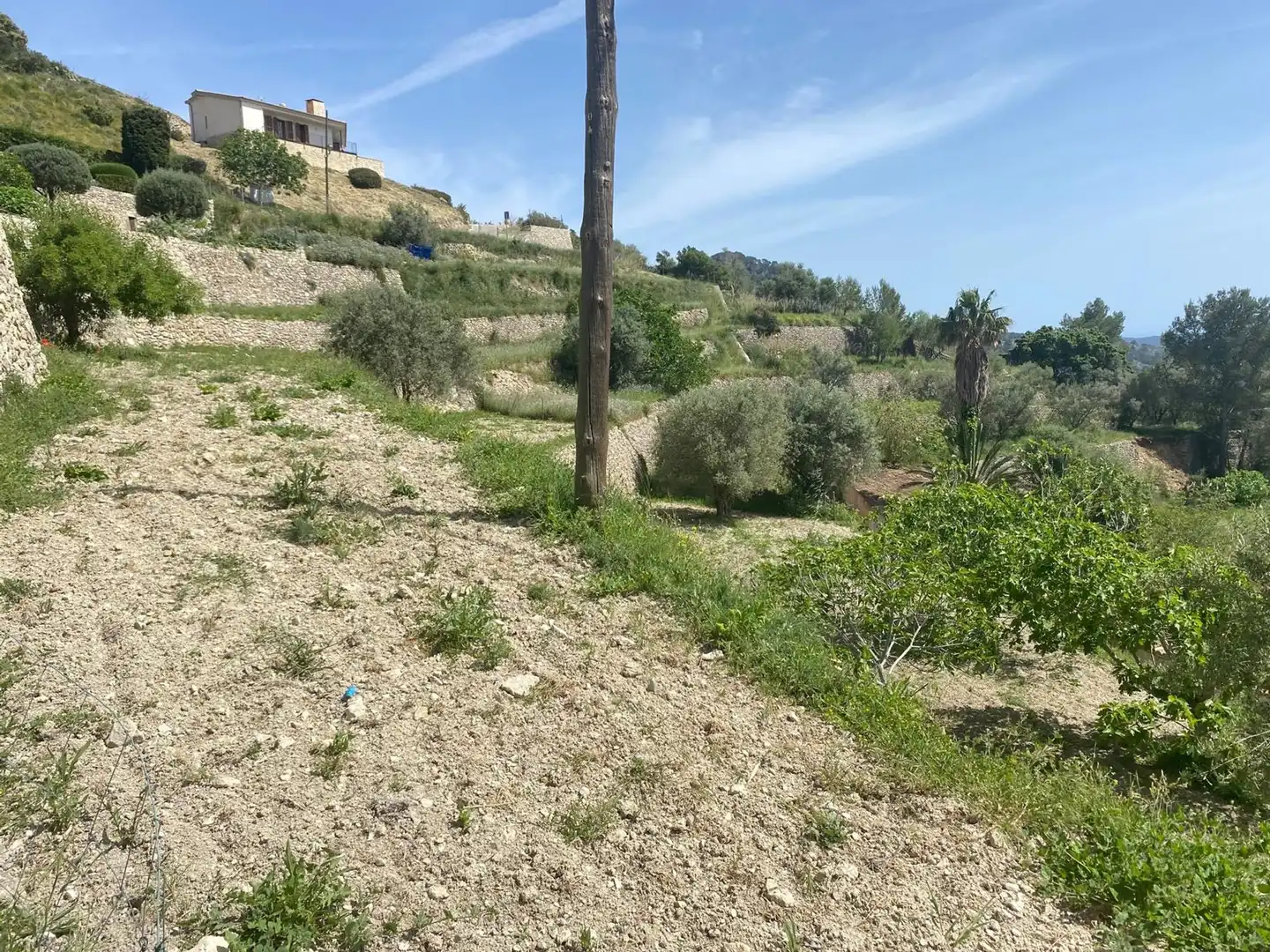 Wohnbaugrundstück zum Verkauf in Puigpunyent, imagen 20