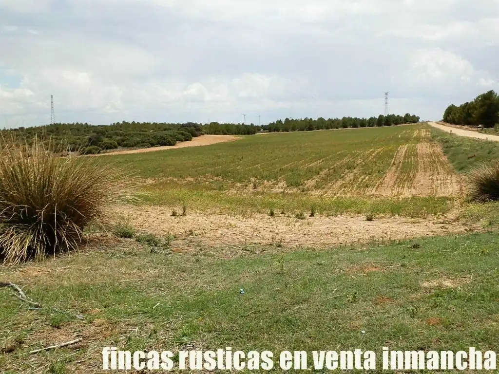 Terreni e lotti in vendita a Bonete, imagen 10