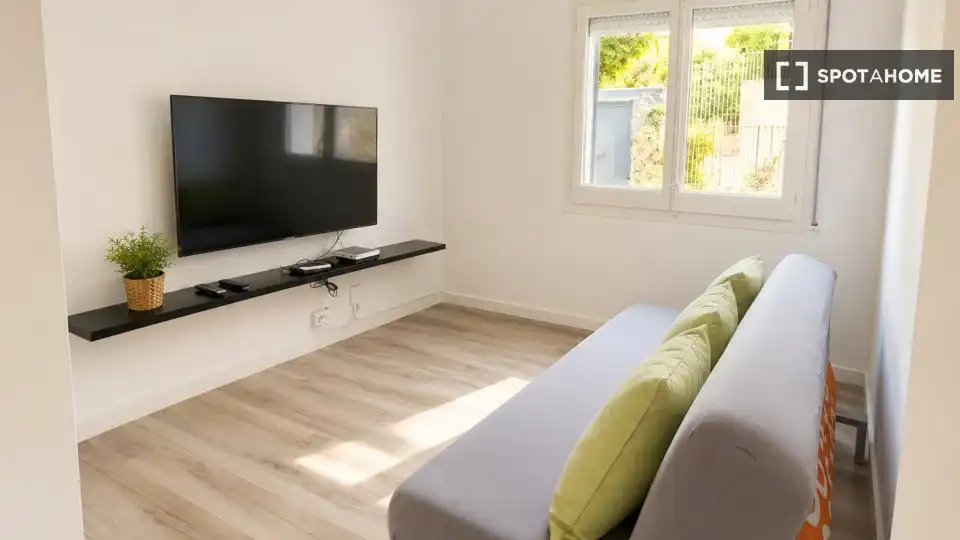 Sala d'estar de Pis de lloguer en Centre