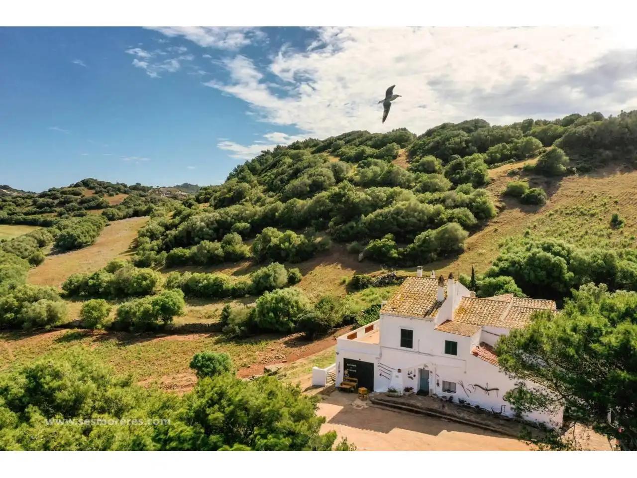 Rural land for sale in Ciutadella, imagen 9