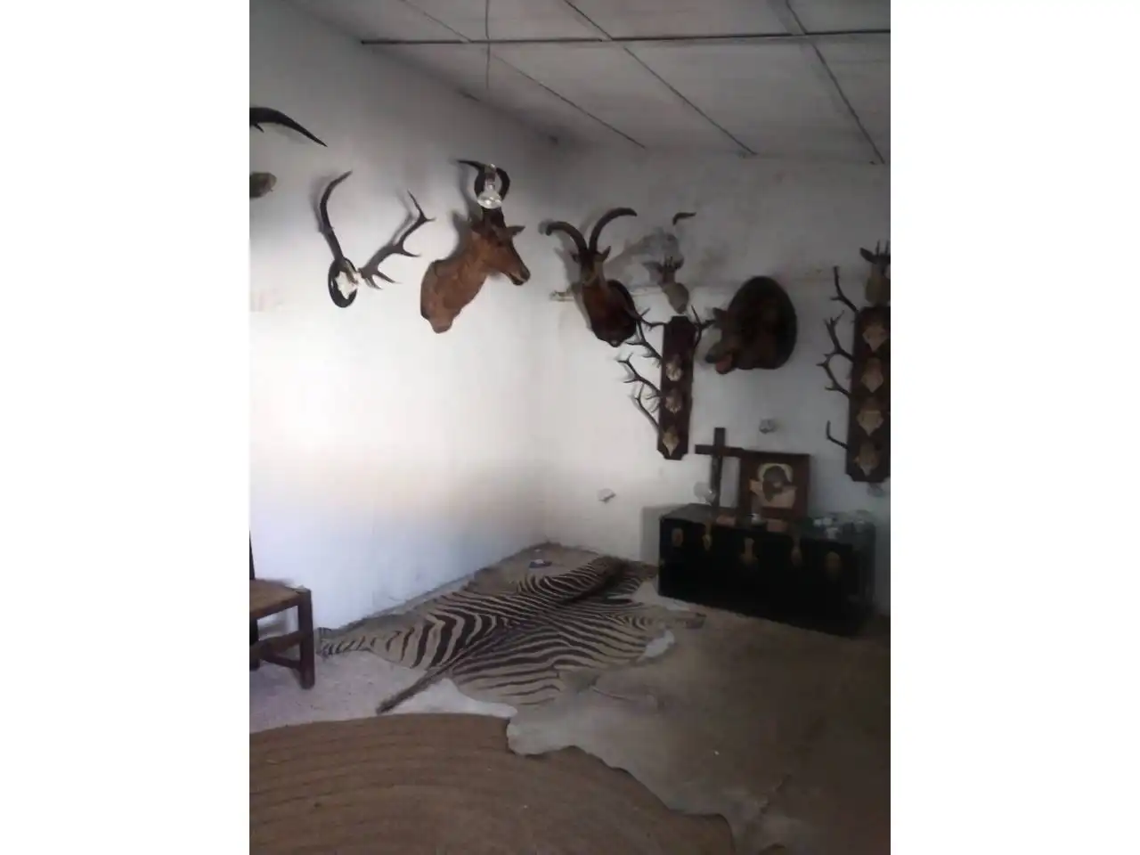 Terreny rústic en venda a Callejon alcázar de san juan, imagen 18