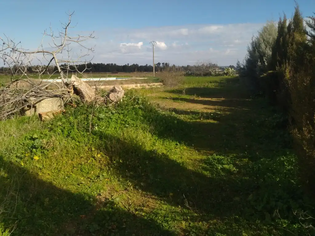 Terreni e lotti in vendita a Don Benito, imagen 18