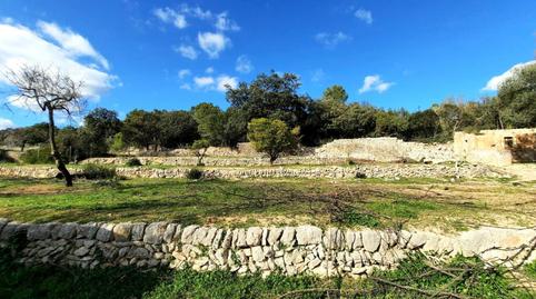 Foto 5 de Finca rústica en venta en Binissalem, Illes Balears
