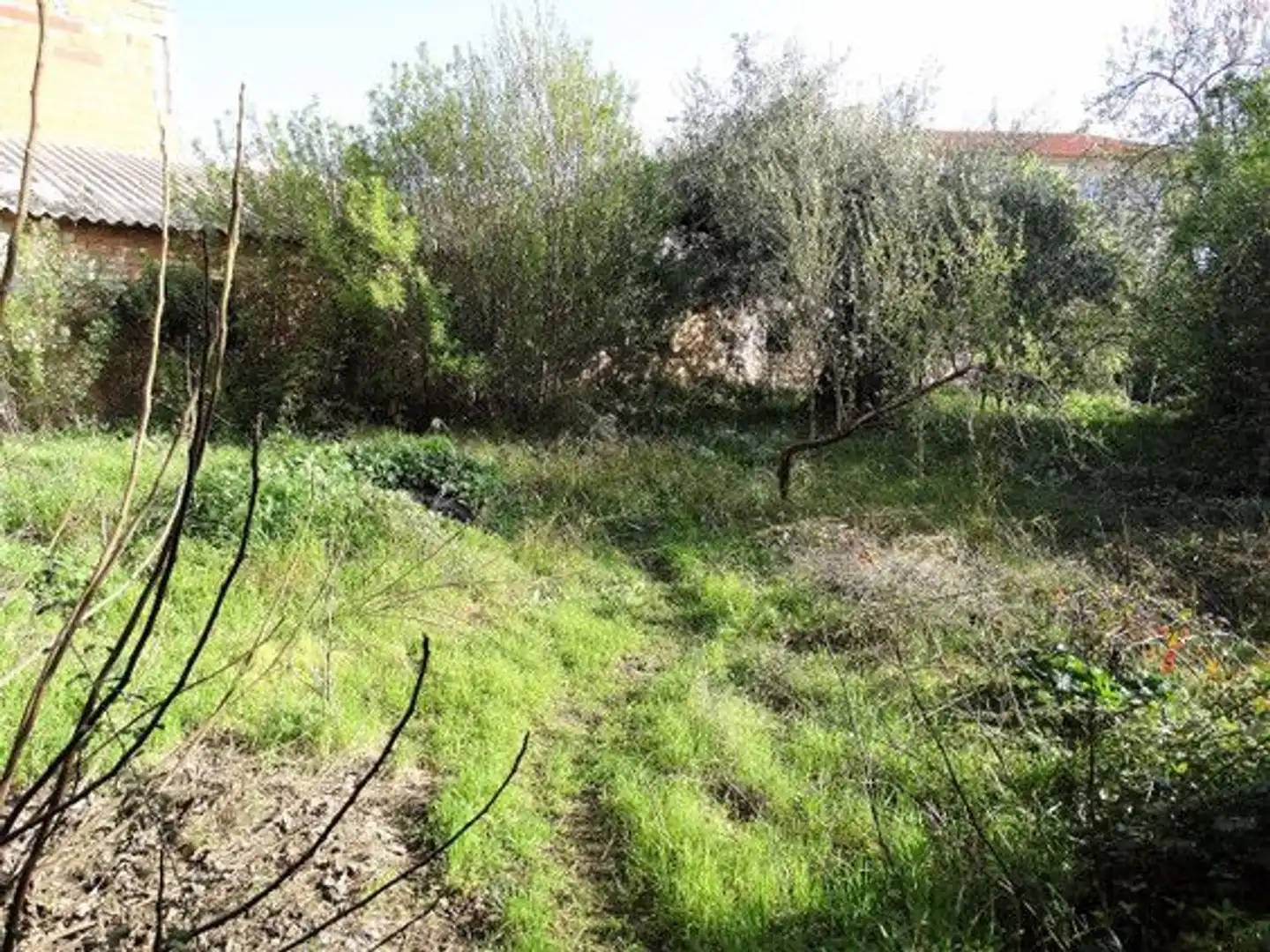 Immobili singolari in vendita a Moratalla, imagen 5