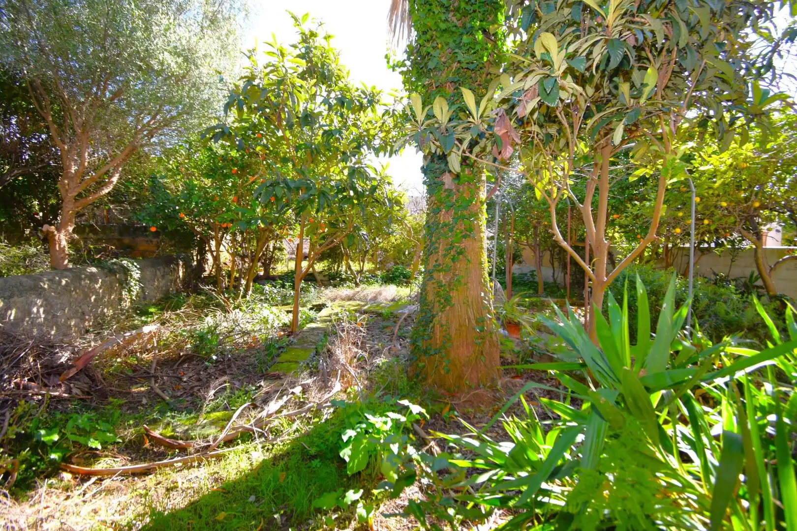 Casa con jardín en venta en Campanet, imagen 22