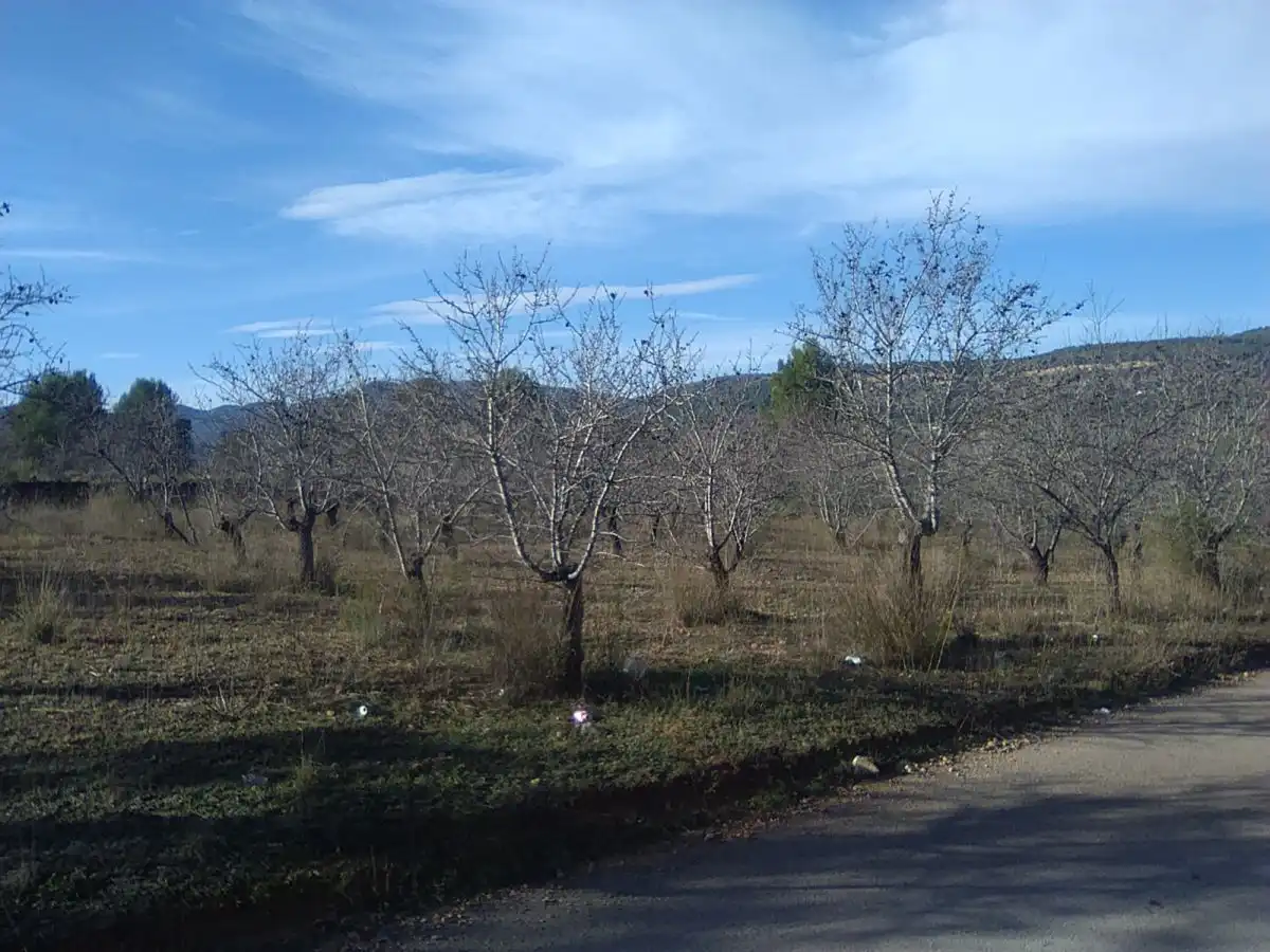 Terreno residencial en venta en Algímia de Alfara, imagen 10