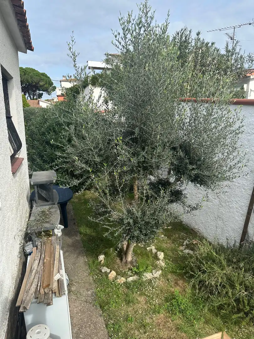Jardín de Casa o chalet en venta en L'Escala con Calefacción, Jardín privado y Terraza
