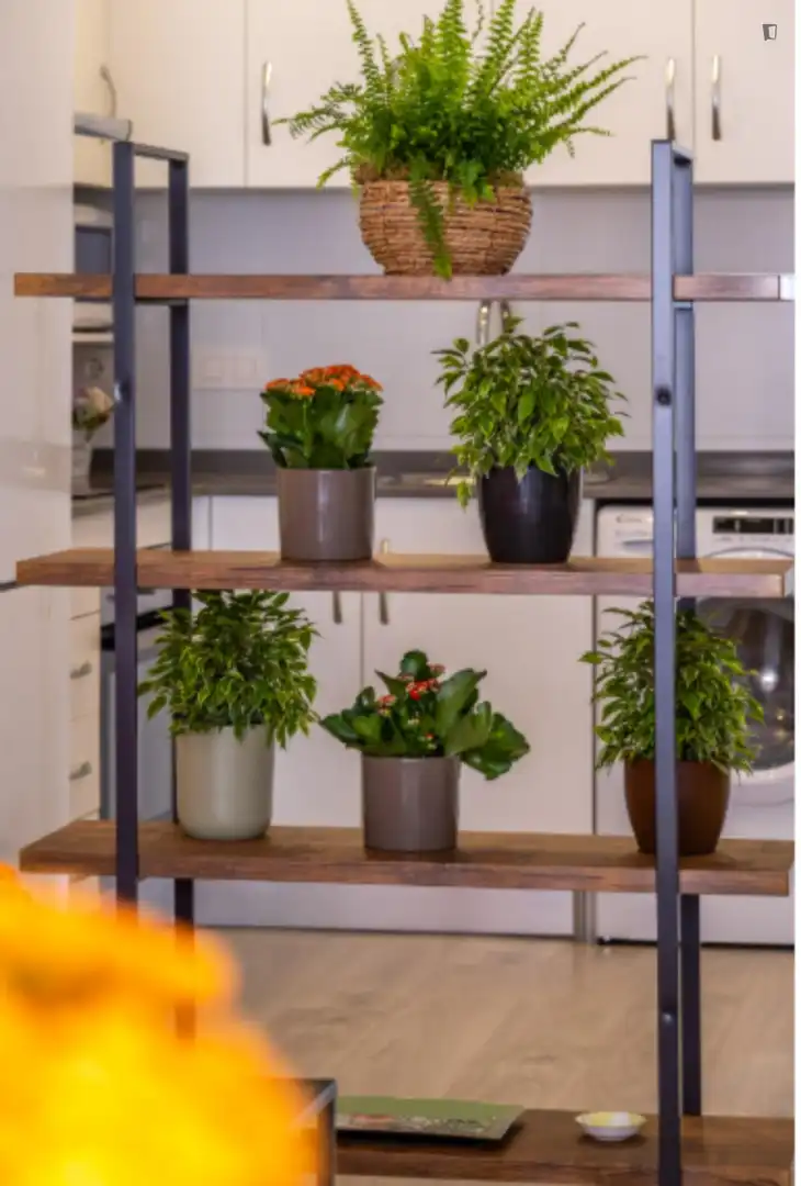 Apartament de lloguer en Málaga amb Aire condicionat, Moblat i Forn