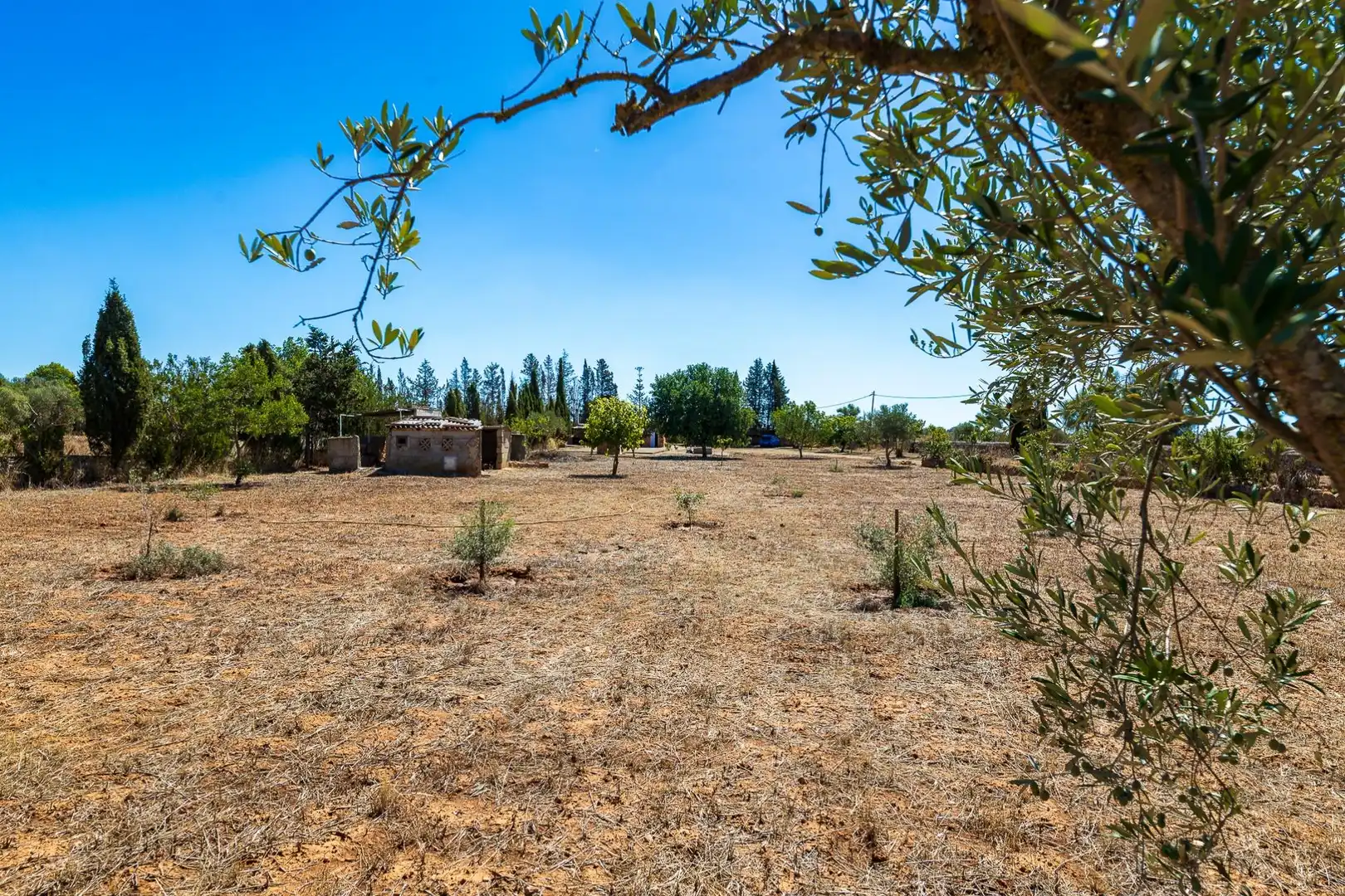 Rustikales Grundstück zum Verkauf in Llucmajor pueblo, imagen 39