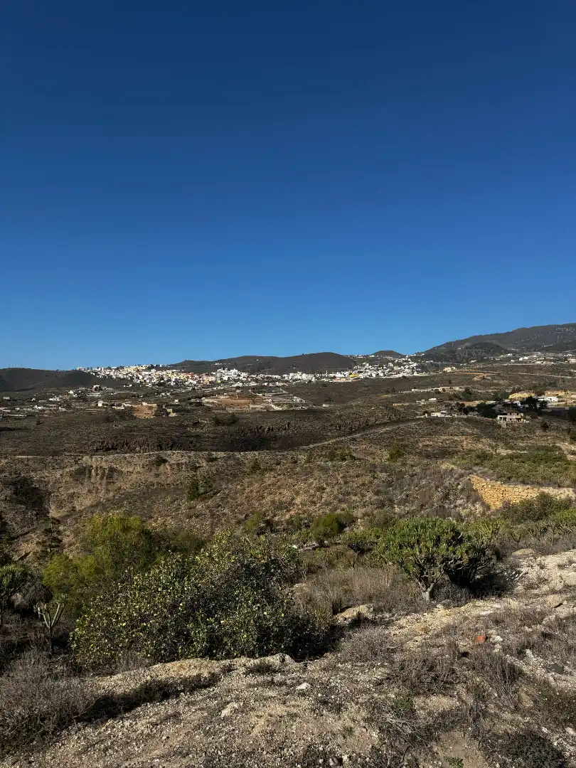 Exterior view of Land for sale in Granadilla de Abona