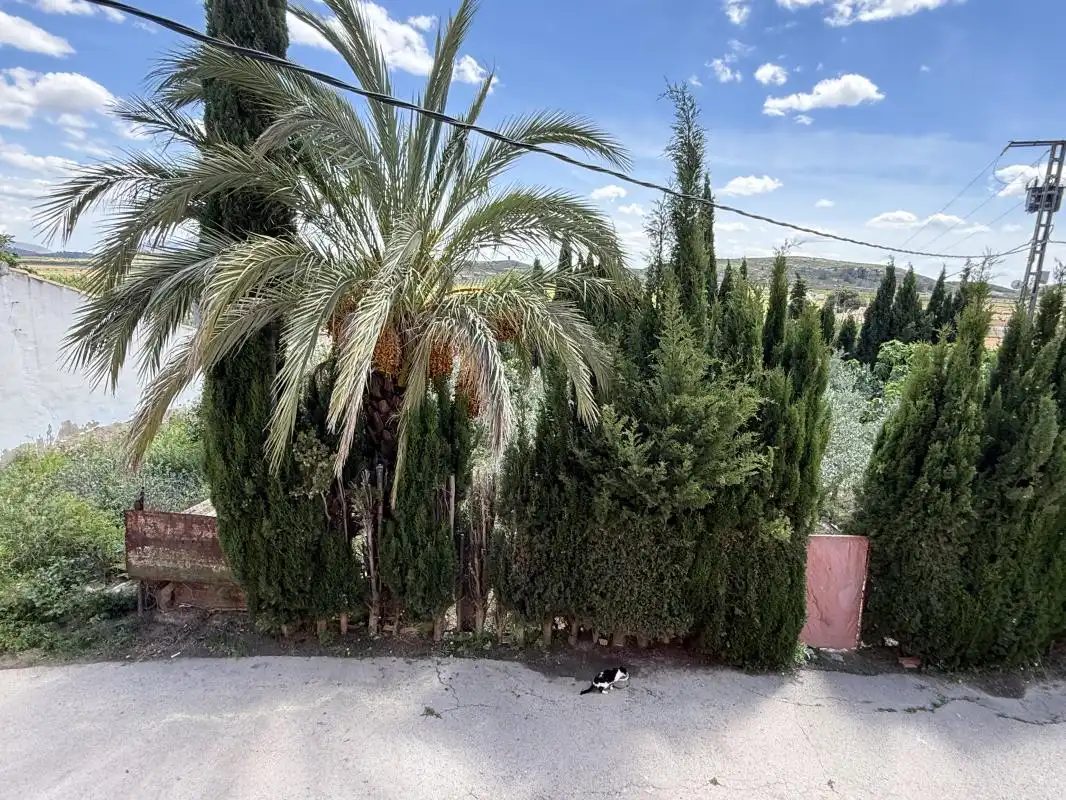 Finca rústica en venda en El Pinós / Pinoso amb Calefacció, Terrassa i Traster