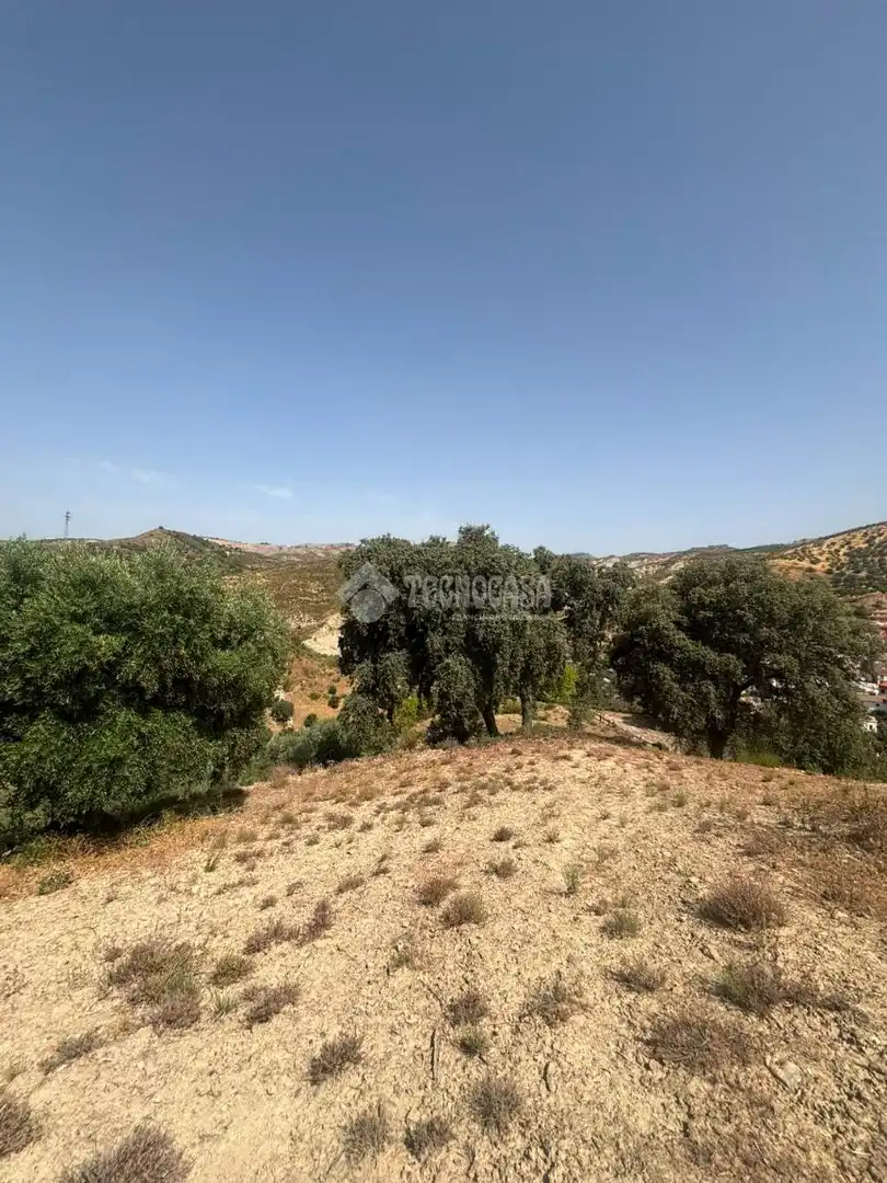 Land for sale in Quéntar