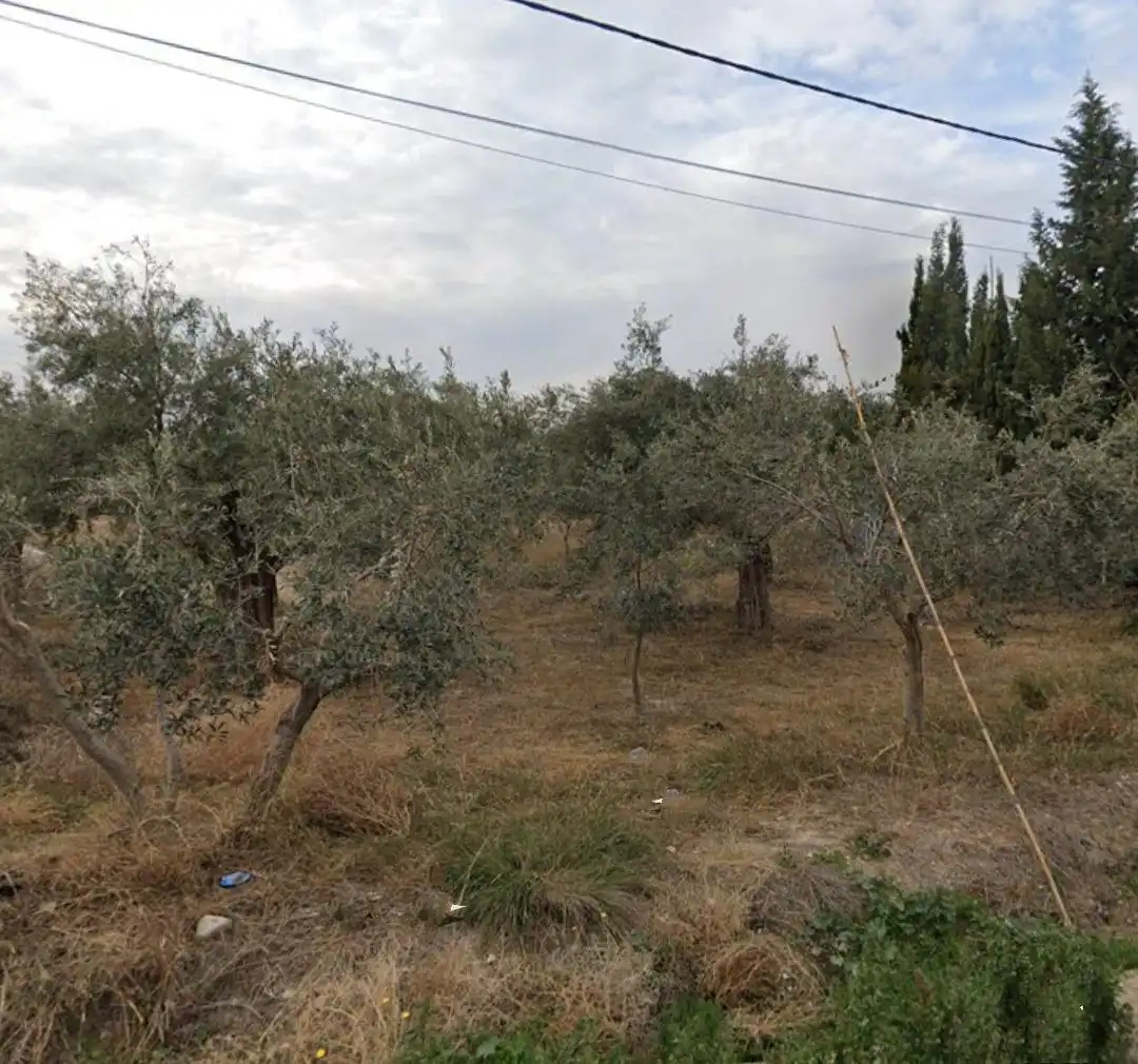 Terreno rustico in vendita a La Huerta, imagen 12