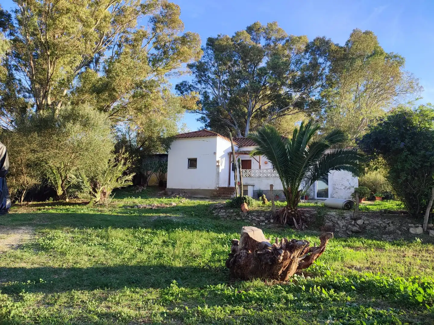 Garten von Haus oder Chalet zum Verkauf in Vejer de la Frontera mit Heizung, Privatgarten und Parkett